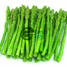 Espárragos verdes lanzas vegetales congelado IQF